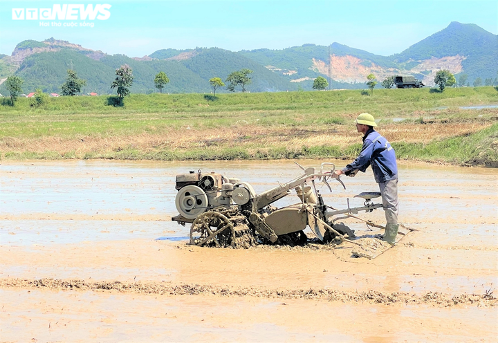 Nắng thiêu đốt 41 độ C, người dân vẫn hối hả ra đồng làm việc - 9