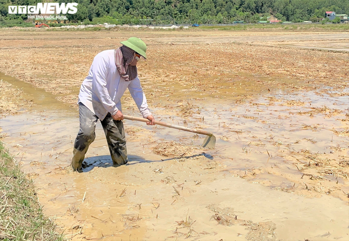 Nắng thiêu đốt 41 độ C, người dân vẫn hối hả ra đồng làm việc - 5