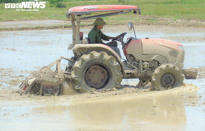 Nắng thiêu đốt 41 độ C, người dân vẫn hối hả ra đồng làm việc - 3