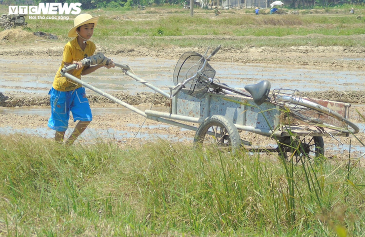 Nắng thiêu đốt 41 độ C, người dân vẫn hối hả ra đồng làm việc - 7