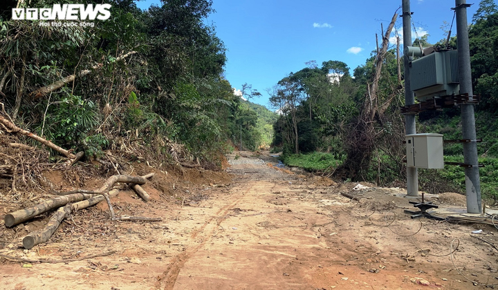 Cận cảnh gần 5.000m2 rừng phòng hộ bị 'xẻ thịt', mở đường thi công thủy điện - 5