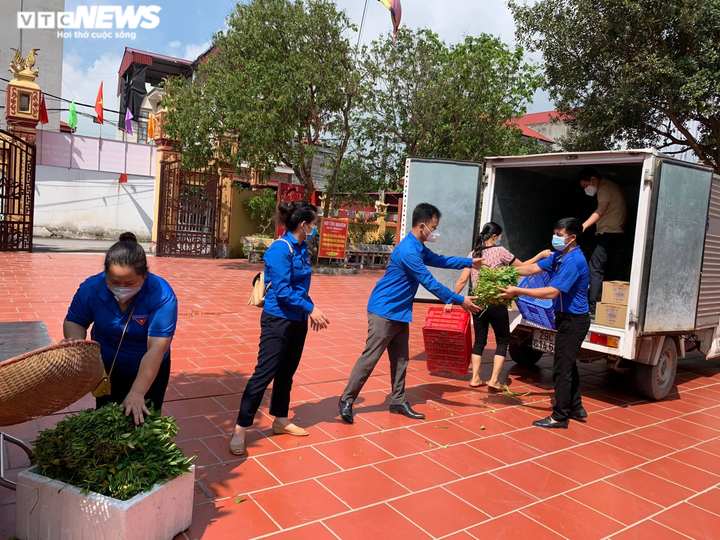 Ảnh: Nông dân Bắc Ninh hái 3.000 mớ rau tặng khu vực bị cách ly - 7