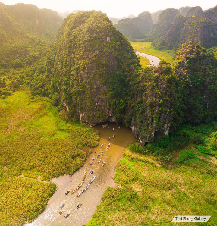 Mơ màng giữa sắc vàng thơ mộng của cánh đồng ‘đẹp nhất Việt Nam’ mùa lúa chín - 6