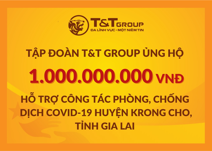 Tập đoàn T&T Group ủng hộ 2 tỷ đồng giúp Gia Lai chống dịch COVID-19 - 1