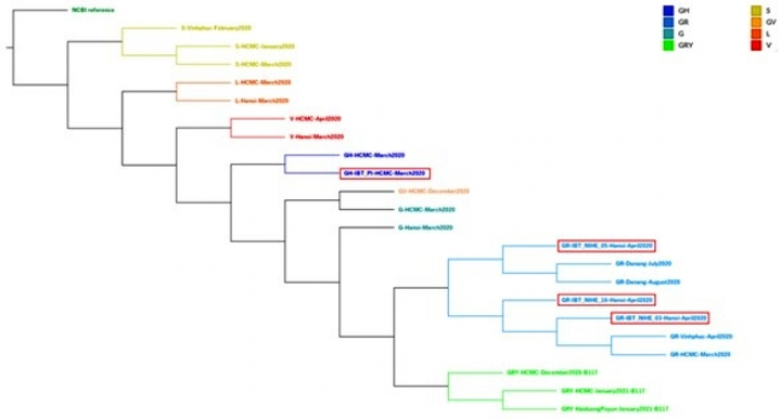 Lần đầu Việt Nam xây dựng thành công quy trình giải trình tự hệ gene SARS-CoV-2 - 1