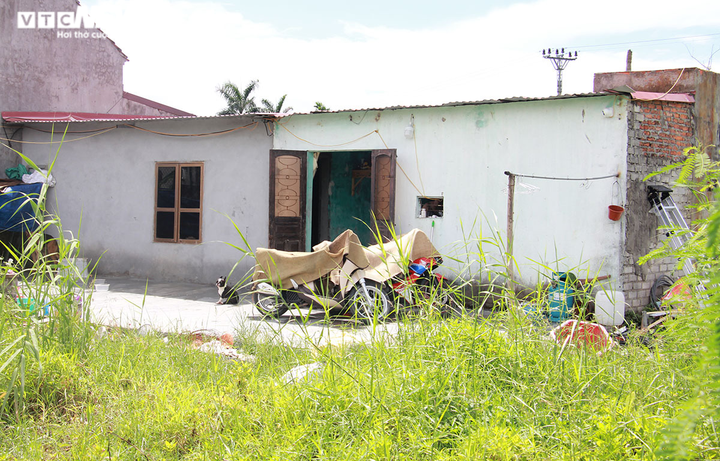 Nhóm người lạ mặt đột nhập khu đất của dân: UBND TP Hải Phòng chỉ đạo xử lý - 2