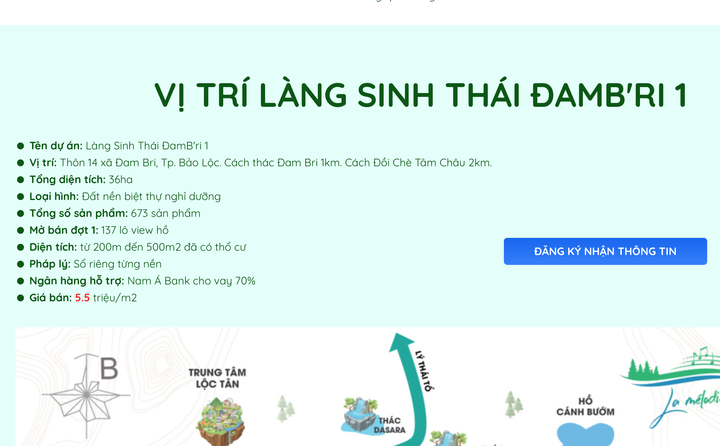 Xẻ đồi thành 1.000 đất nền để bán: Nhiều chỉ đạo quyết liệt ở Lâm Đồng - 3