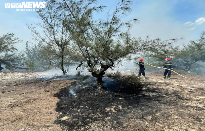 Ảnh: Hàng trăm chiến sĩ căng mình tạo hành lang cản lửa, dập cháy rừng - 5