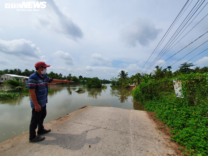 Lại sạt lở đoạn sông Rạch Gầm - Xoài Mút: Do cây Bần chết, không giữ được đất? - 2