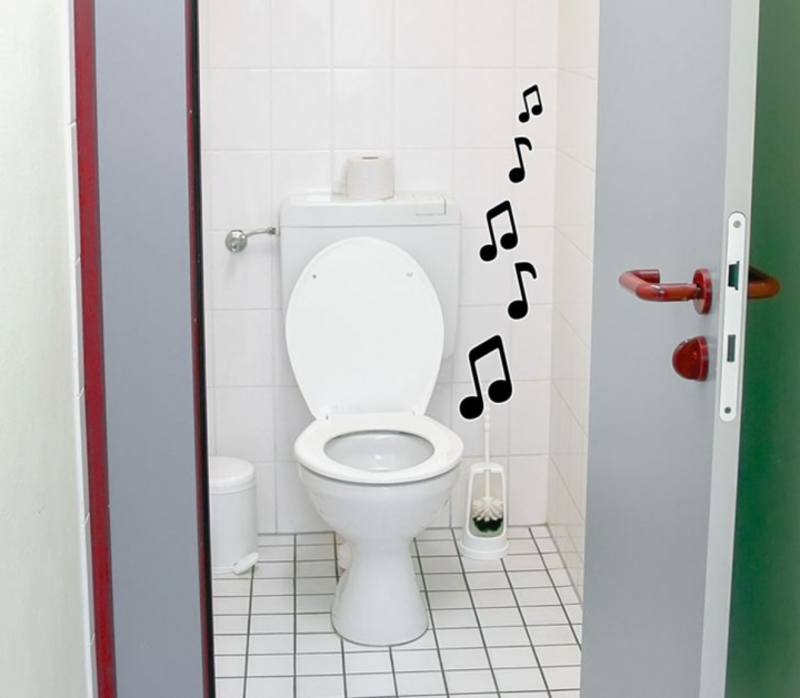 7 sự thật thú vị liên quan đến toilet ở các quốc gia - 3