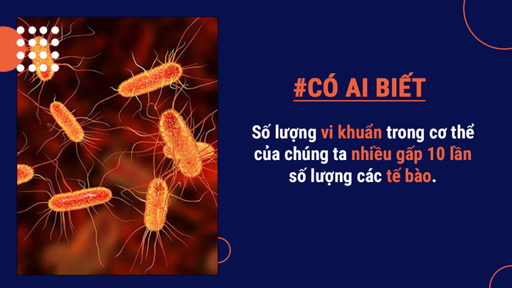 Có ai biết: Một lượng lớn bụi trong nhà lại chính là da chết từ cơ thể bạn đấy - 1