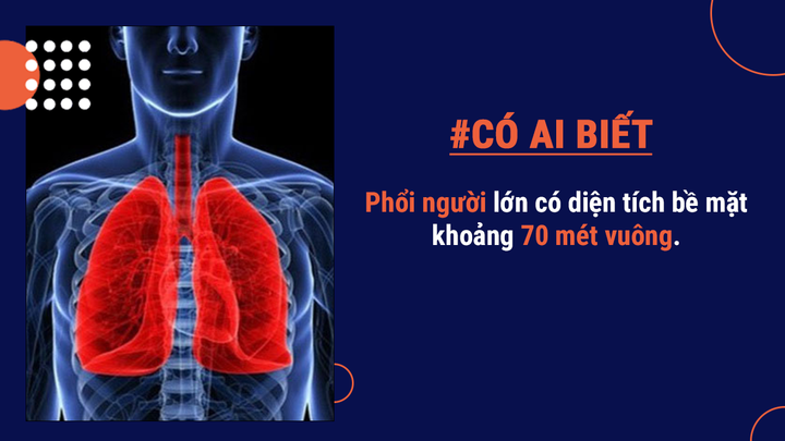 Có ai biết: Một lượng lớn bụi trong nhà lại chính là da chết từ cơ thể bạn đấy - 2