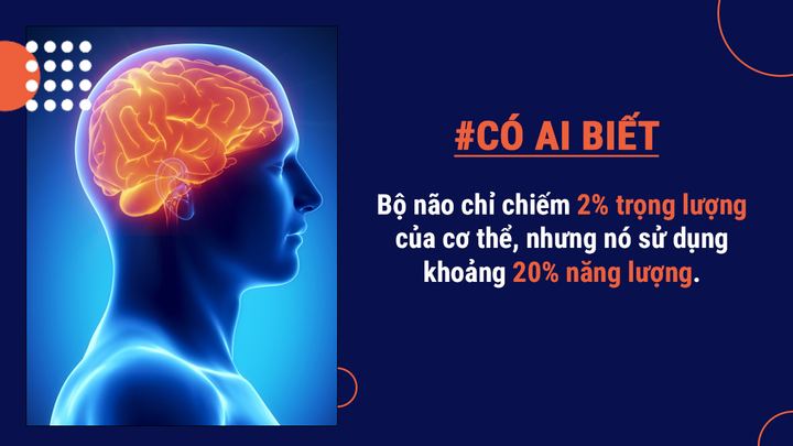 Có ai biết: Một lượng lớn bụi trong nhà lại chính là da chết từ cơ thể bạn đấy - 3