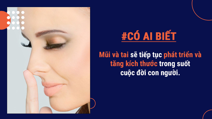 Có ai biết: Một lượng lớn bụi trong nhà lại chính là da chết từ cơ thể bạn đấy - 7