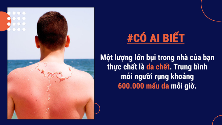 Có ai biết: Một lượng lớn bụi trong nhà lại chính là da chết từ cơ thể bạn đấy - 4