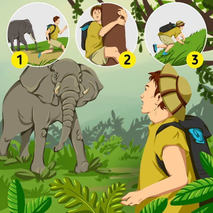4 câu đố về kỹ năng sinh tồn làm nhiều người bối rối, bạn thì sao? - 4