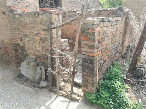 Bố mẹ choáng váng khi tìm thấy con trai bặt vô âm tính 19 năm trong sân vườn - 1