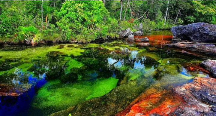 Kỳ lạ dòng sông liên tục đổi màu như cầu vồng, huyền ảo đến mê hoặc - 7