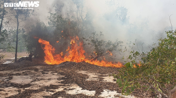 Ảnh: Rừng phòng hộ ven biển cháy dữ dội, cả trăm người căng mình dập lửa - 5