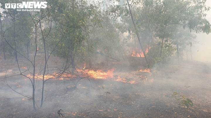Ảnh: Rừng phòng hộ ven biển cháy dữ dội, cả trăm người căng mình dập lửa - 6