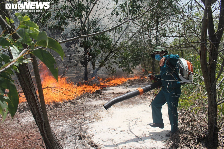 Ảnh: Rừng phòng hộ ven biển cháy dữ dội, cả trăm người căng mình dập lửa - 4
