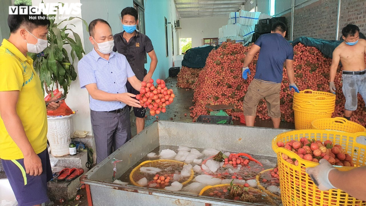 Bắc Giang tiêm vaccine COVID-19 cho 367 thương nhân và lái xe thu mua vải thiều - 2