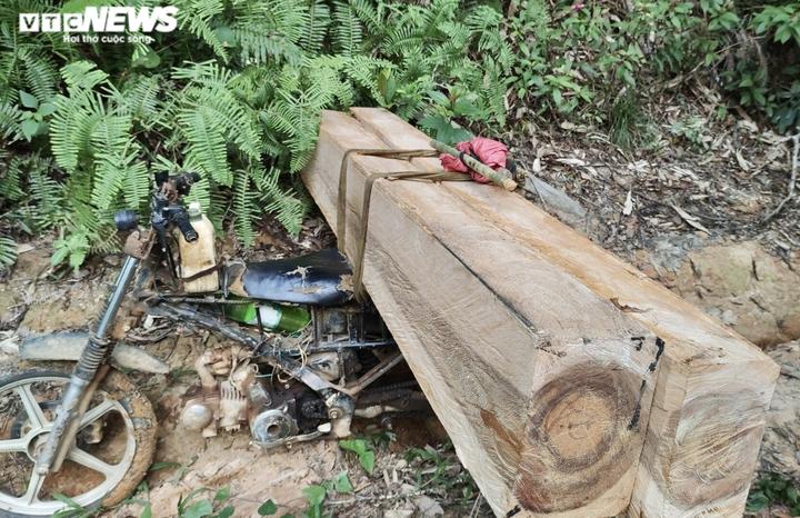 Cận cảnh rừng Mang Yang bị 'xẻ thịt' tan hoang tại Gia Lai - 4