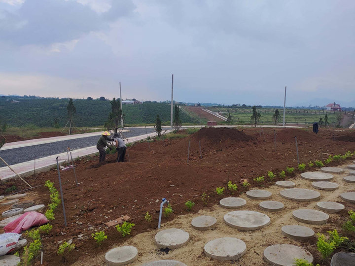 Xẻ đồi 36ha thành 1.000 nền đất để bán: Lật mặt chiêu trò 'dự án bất động sản' - 3