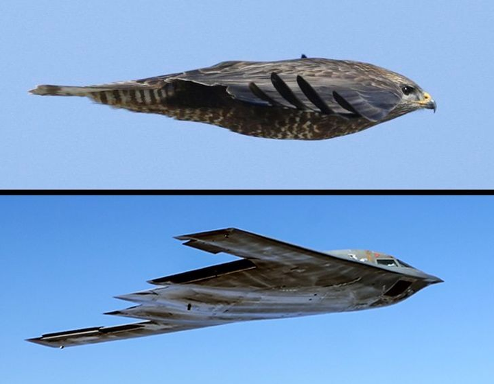 Vì sao lối ra máy bay lại ở bên trái, phi công không được để râu? - 6