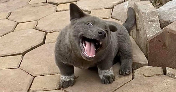 Tra từ: