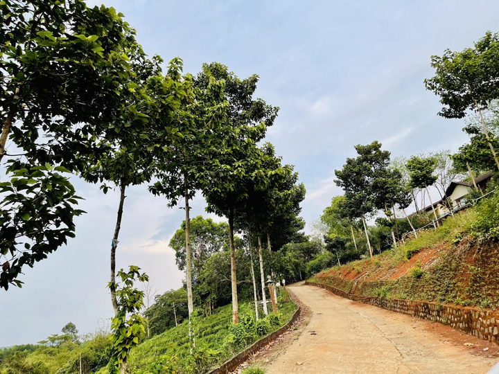 Đô thị sinh thái toàn diện Felicia City vẫn hút khách giữa mùa COVID-19 - 2