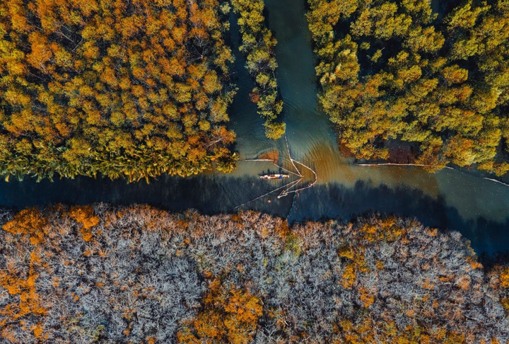 Ít ai biết ở Huế có một cánh rừng rất ‘tình và thơ’ có thể làm bạn ‘quên lối về’ - 8
