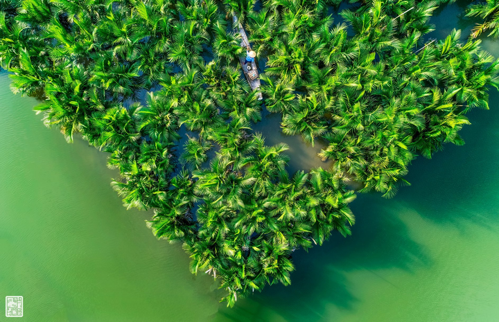 Ít ai biết ở Huế có một cánh rừng rất ‘tình và thơ’ có thể làm bạn ‘quên lối về’ - 2