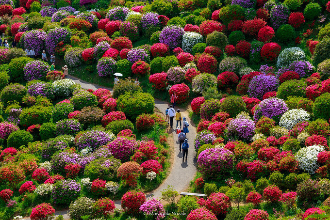 ‘Ngôi đền hoa’ gắn với truyền thuyết nữ tu sĩ thọ 800 tuổi nhờ nàng tiên cá - 4