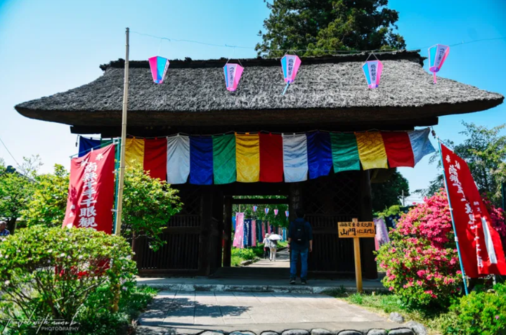 ‘Ngôi đền hoa’ gắn với truyền thuyết nữ tu sĩ thọ 800 tuổi nhờ nàng tiên cá - 3