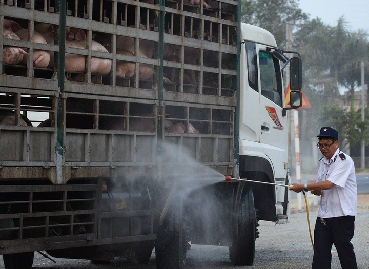 Hiệp hội Vận tải hàng hoá TP.HCM kiến nghị tiêm vaccine COVID-19 cho tài xế - 1