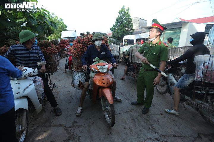 Ảnh: Ấn tượng hàng dài xe chở vải nối đuôi nhau đến điểm thu mua ở Bắc Giang - 8
