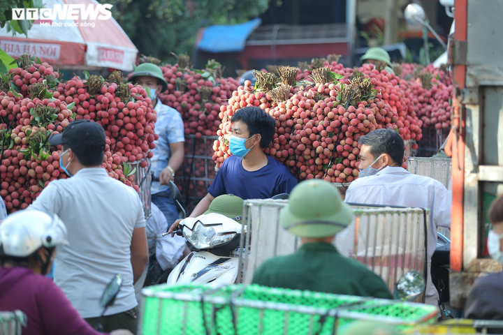 Ảnh: Ấn tượng hàng dài xe chở vải nối đuôi nhau đến điểm thu mua ở Bắc Giang - 6