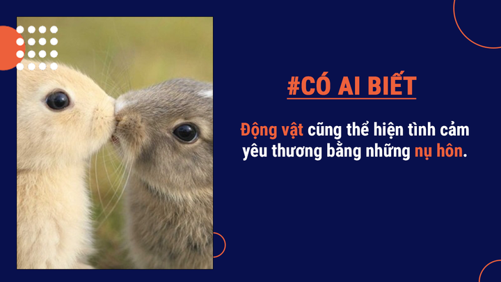 Có ai biết: Chào hỏi bằng cách hôn vệ sinh hơn việc bắt tay - 8