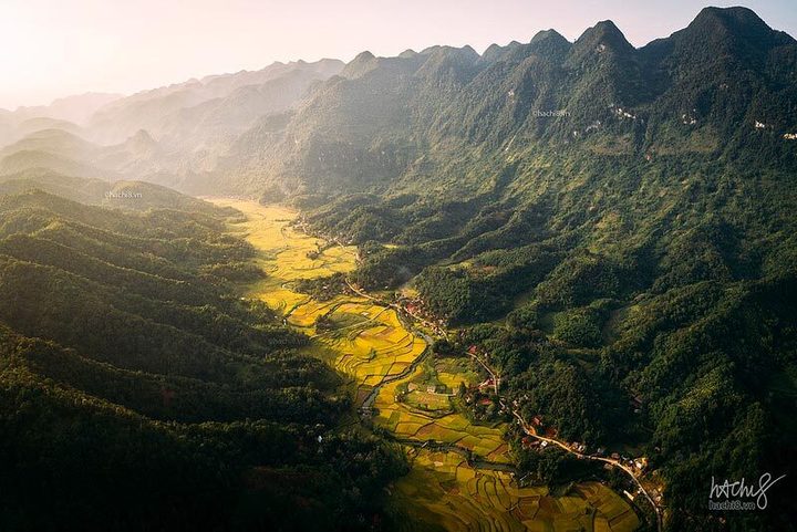 Tìm về chốn bình yên ở Thanh Hóa, mùa lúa chín ngả màu như ‘biển vàng’ - 1