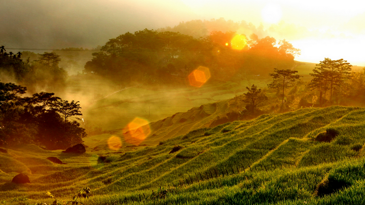 Tìm về chốn bình yên ở Thanh Hóa, mùa lúa chín ngả màu như ‘biển vàng’ - 4