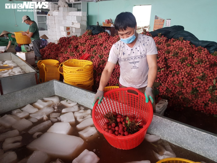 Cận cảnh quy trình bảo quản vải thiều Bắc Giang - 4