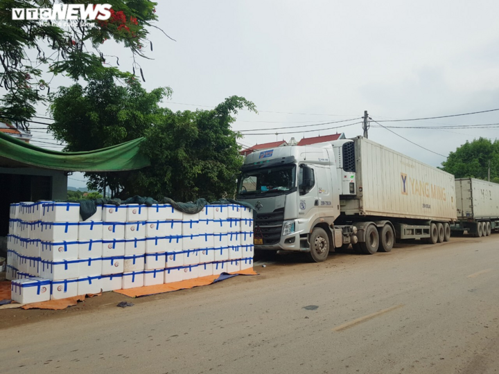 Cận cảnh quy trình bảo quản vải thiều Bắc Giang - 16