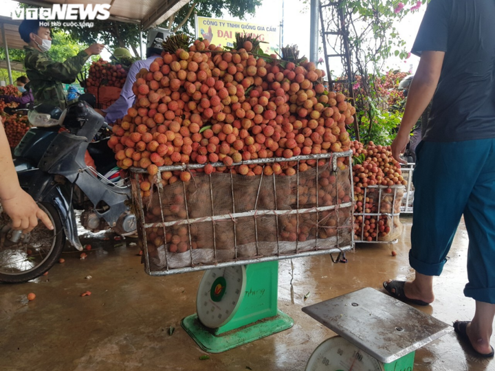 Cận cảnh quy trình bảo quản vải thiều Bắc Giang - 2