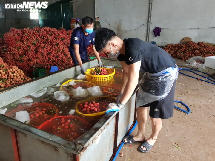Cận cảnh quy trình bảo quản vải thiều Bắc Giang - 3