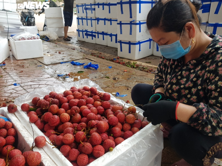 Cận cảnh quy trình bảo quản vải thiều Bắc Giang - 11