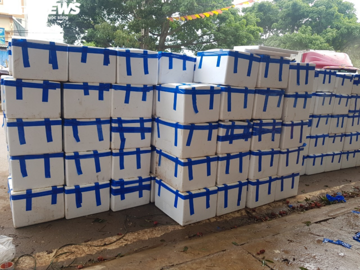 Cận cảnh quy trình bảo quản vải thiều Bắc Giang - 15