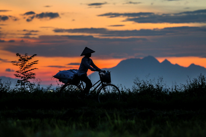 Đẹp ngây ngất mùa lúa chín ở ngoại ô Hà Nội - 11