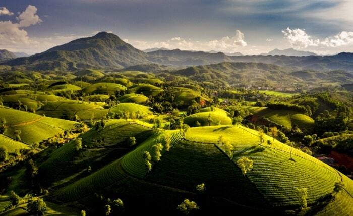 Ốc đảo chè ẩn hiện giữa biển mây: Cảnh sắc ‘cực phẩm’ chỉ có ở đất Tổ Phú Thọ - 6