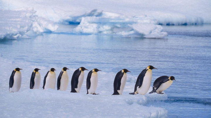 Đại dương thứ 5 trên Trái Đất: Khắc nghiệt, nguy hiểm nhưng cũng đầy hấp dẫn - 5